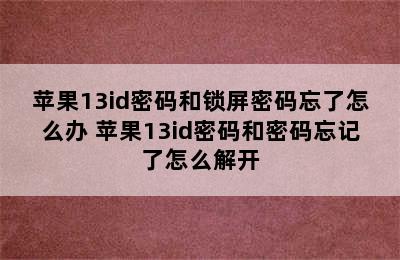 苹果13id密码和锁屏密码忘了怎么办 苹果13id密码和密码忘记了怎么解开